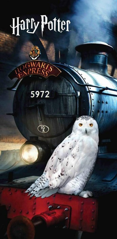 Ręcznik plażowy 70x140 Harry Potter Sowa Hedwiga Pociąg Bawełniany Dziecięcy-1