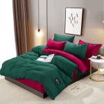 Pościel Dwustronna 200x220 4 el. Tomas 357 zielona bordowa