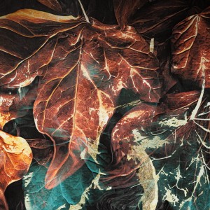 36761Pościel satynowa 160x200 Eva 16 czarna  ruda turkusowa liście Eva Minge Eurofirany-4