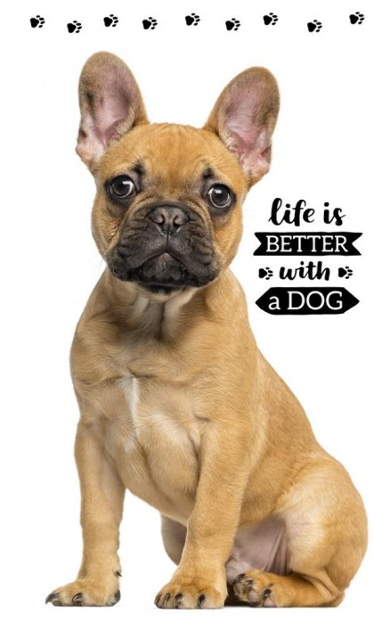 37278Ręczniczek do przedszkola 30x50 Piesek dziecięcy Babies-1