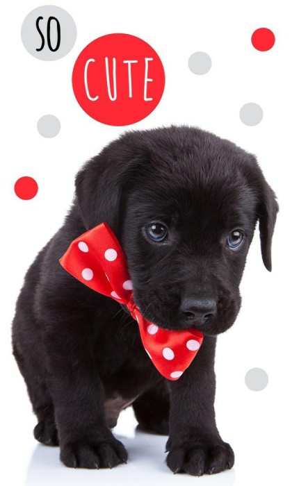 37280Ręczniczek do przedszkola 30x50 Pies dziecięcy Babies-1